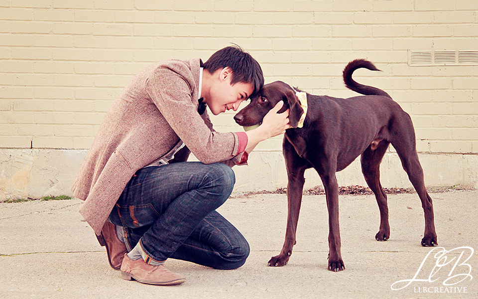 Toronto commercial dog photography