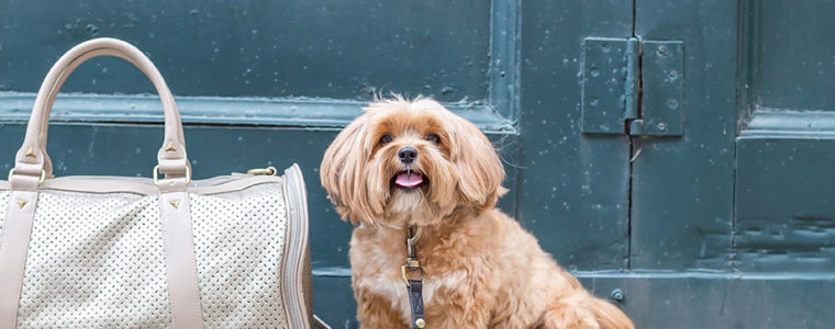 toronto branding photographer