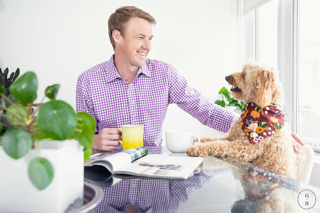 storm the weather dog