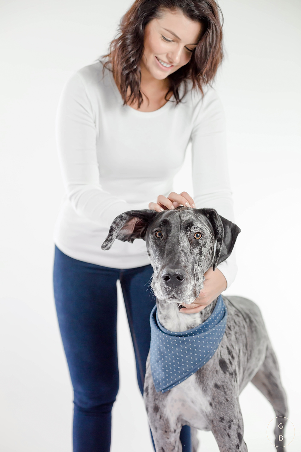 Toronto commercial dog photography